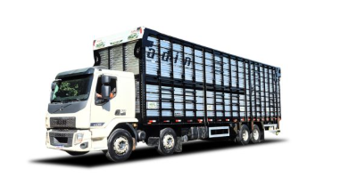 Bi-truck boiadeiro 2 andares Fadin com elevador traseiro e plataformas pneumaticas.